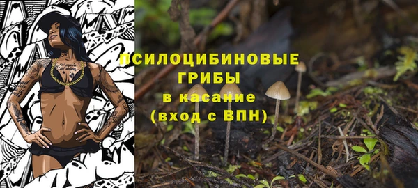 mix Абинск