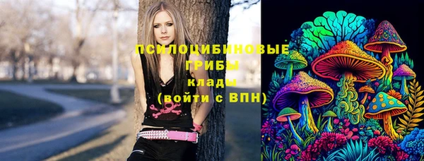 соль ск Новодвинск