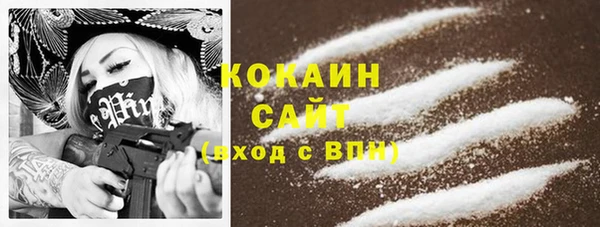 соль ск Новодвинск