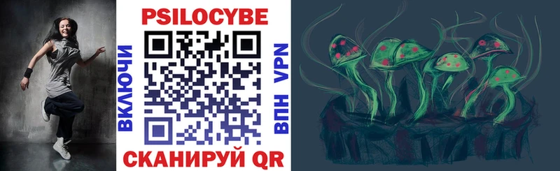закладка  Кудымкар  Псилоцибиновые грибы мицелий 